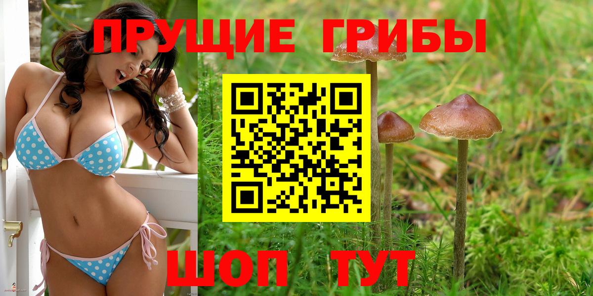 Псилоцибиновые грибы прущие грибы Похвистнево