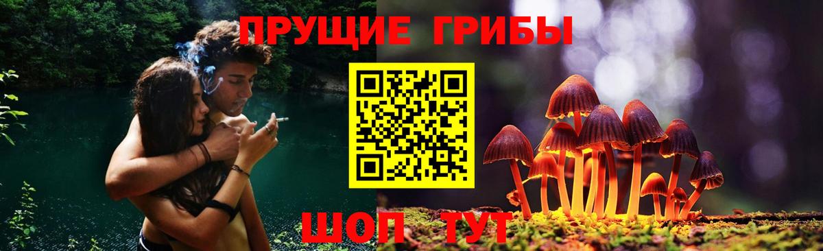 Псилоцибиновые грибы мухоморы  Вход с VPN  Похвистнево  Псилоцибиновые грибы MAGIC MUSHROOMS 